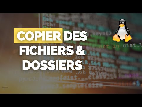 Vidéo: Comment exécuter des fichiers sous Linux : 9 étapes (avec des images)