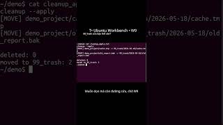 T• 99_trash cứu bạn thế nào? | W9 (Ubuntu Workbench) #ubuntu #terminal #python #linux #coding