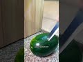 I Bought A WATERMELON For 100 In Armenia Let S Try It
