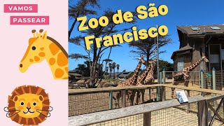 Venha Conhecer O Zoológico De São Francisco. Eu Adorei Pear Por Lá