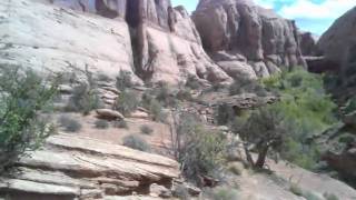 Video002.3gp