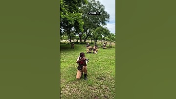 #ssc #sscgd #crpfstatus #cobra #commando #army #motivation❤️⚔️😘