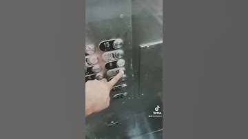 Elevator Game at the Cecil hotel 🏨