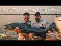 Pesca de MANGURUYU Gigante - Posada Puerto Paraíso