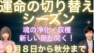 田宮陽子&西田普の部屋の配信のサムネイル画像