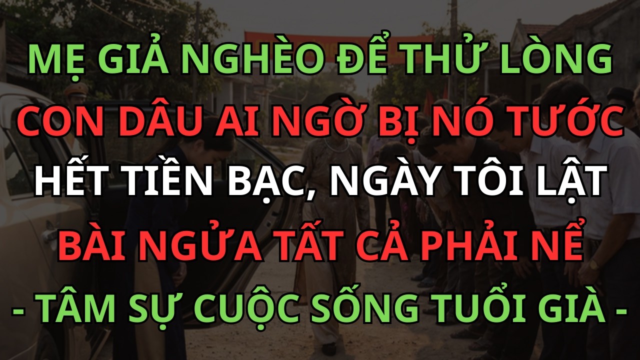 Mẹ Chồng Giả Nghèo Để Thử Lòng Con Dâu Ai Ngờ Bị Tước Hết Tiền Bạc,Khi Biết Sự Thật Ai Cũng Bật Ngửa
