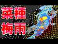 【菜種梅雨】雨の日多い 晴れても続かず 水不足解消も日射不足へ 大雨暴風に警戒も 気象予報士解説
