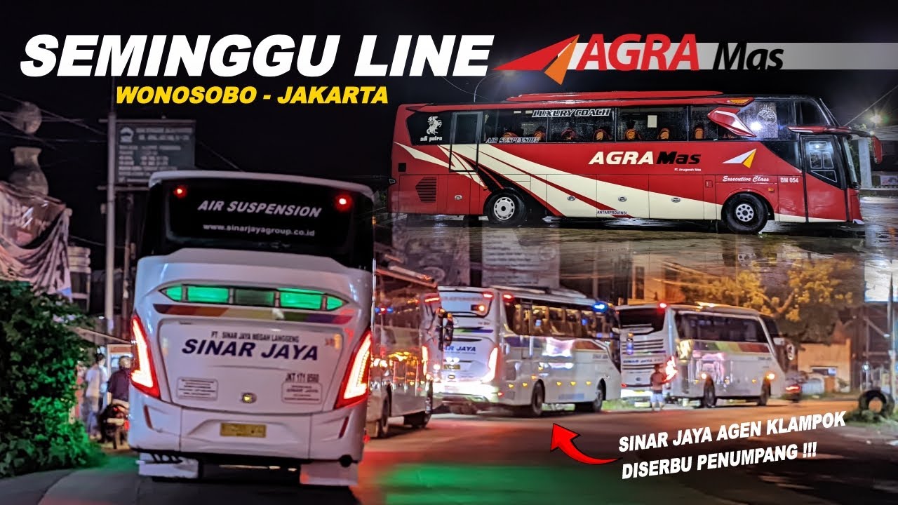 SEMINGGU LINE AGRA MAS WONOSOBO, APAKAH RAMAI❓BUS SINAR JAYA PANEN PENUMPANG SAMPAI MEMBLUDAK🔥