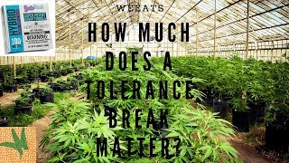 Experiment: How Much Does a Weed Tolerance Break Matter? Hint: A Lot