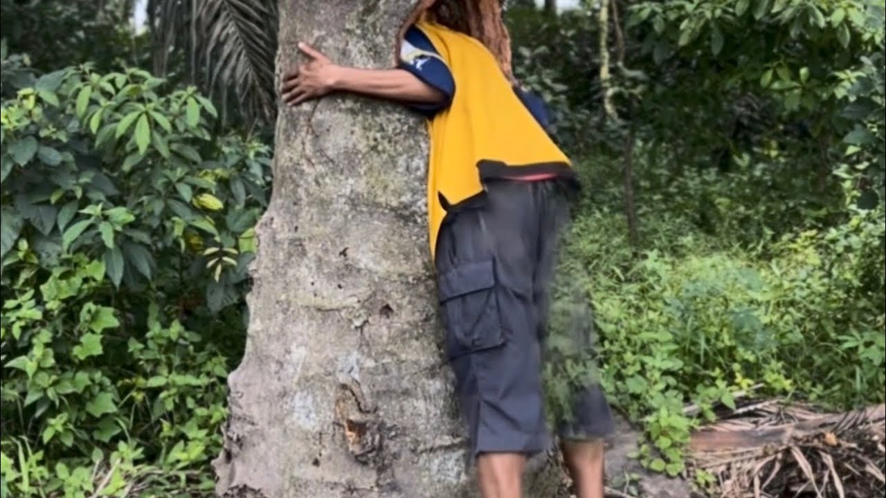 I went to the tree kingdom with a cow #viral #ai 