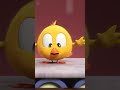 ¡Un gran juguete! #funnyanimals #Shorts #Chicky | Cartoon for kids