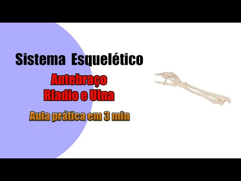 Vídeo: Diferença Entre Raio E Ulna