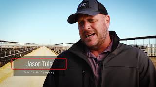 ProfitSOURCE Partners™ | TD Beef | Details