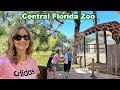 Complete tour of the central florida zoo in sanford  feeding a giraffe  petting zoo fun