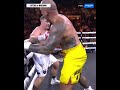 Nelson Asofa Solomona KOs Jarrod Wallace