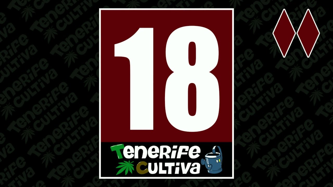 VOLVEMOS!! T02x1 Blue Kush Berry & ElDoradoOG paradise seeds. Mars hydro ts1000 test. 2a sem. FLORA.