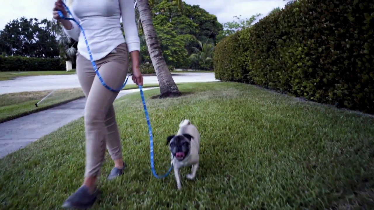 South Florida Pest Control | We Believe Spot | Nozzle Nolen Pest Solutions