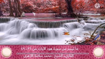 تلاوة خاشعة لفضيلة الشيخ محمد سلامة الأزهرى من صلاة التراويح بمسجد عباد الرحمن رمضان ١٤٤٣هجرية