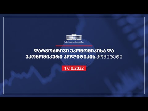 დარგობრივი ეკონომიკისა და ეკონომიკური პოლიტიკის კომიტეტის სხდომა - 17.10.2022