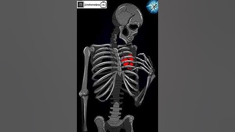 قل يا عبادى الذين اسرفوا على انفسهم لا تقنطوا تلاوه باكيه للشيخ ياسى الدوسرى