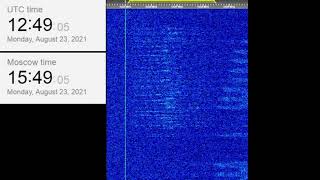 The Buzzer/UVB-76(4625Khz) August 23, 2021 12:48UTC Voice message