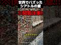 世界でバズったシアトルの壁