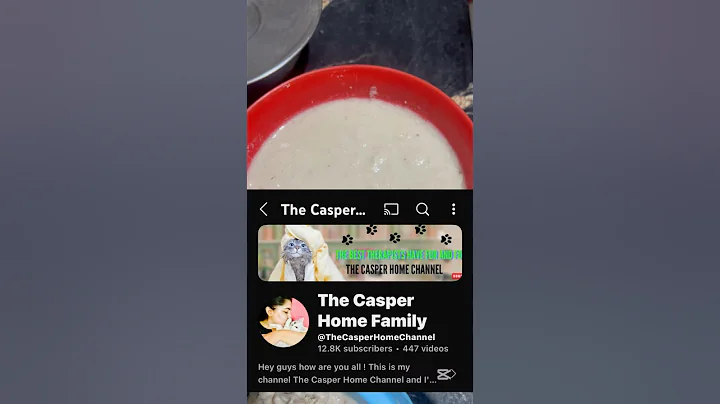 Watch the video about Homemade creamy treats recipes for Persian cat & kittens 🐈❤️#shorts #shortsvideo #catfood