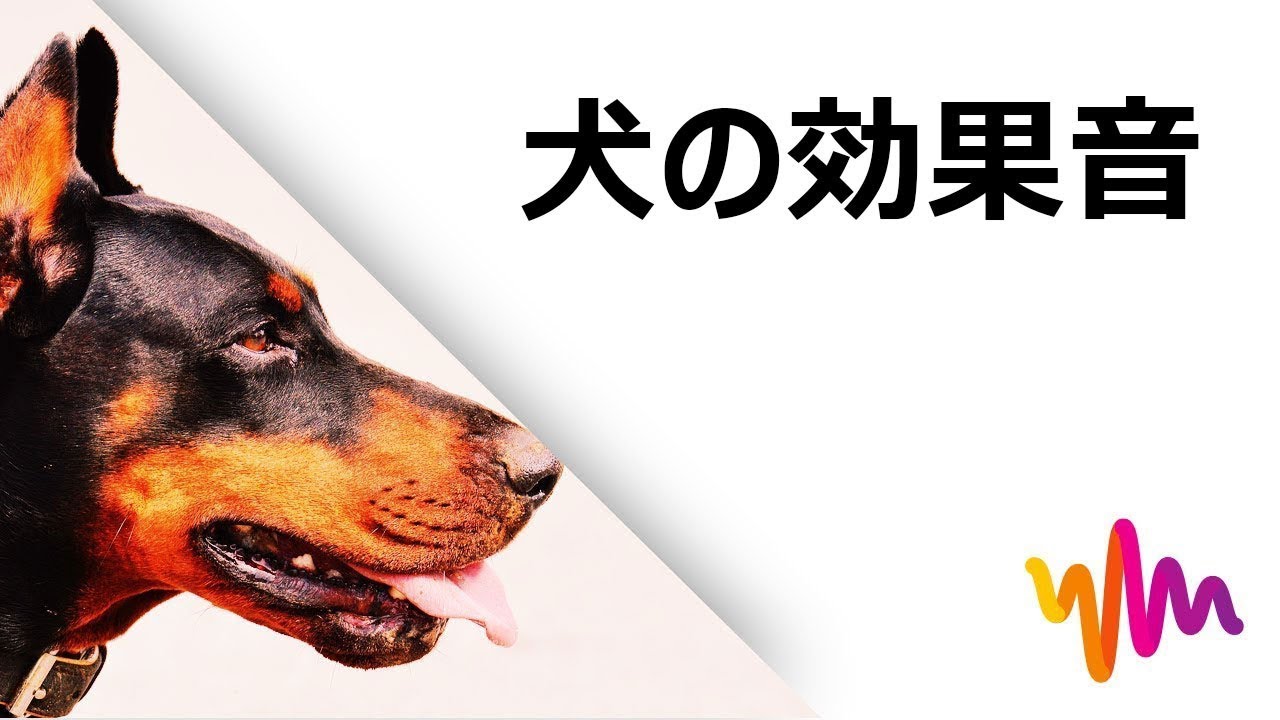 する 音 犬 が 反応