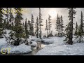 Arctic Ambience 3| Howling wind and blowing snow for Relaxing| Studying| Sleep| Heavy Winter Snow
