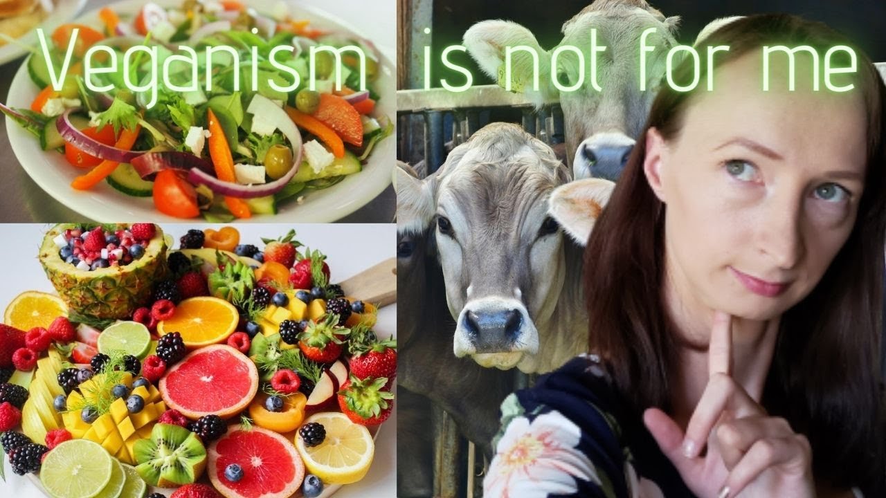 WHY I AM NO LONGER VEGAN YouTube