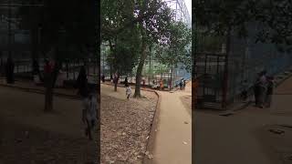 আজ চিড়িয়াখানায় মানুষের ঢল! 😱#Zoo #DhakaZoo #Bangladesh #Dhaka #TravelBangladesh #ExploreDhaka