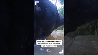 Bodycam Video Shows Houston Officer Rescue Man And Three Dogs Stuck In Water