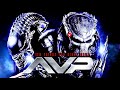 10 things you didnt know about avp