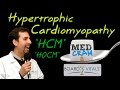 Hypertrophic cardiomyopathy hcm explained clearly  exam practice question