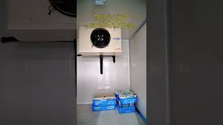 High-density insulation and stable refrigeration.#Coldstorage #refrigerator #foryoupage