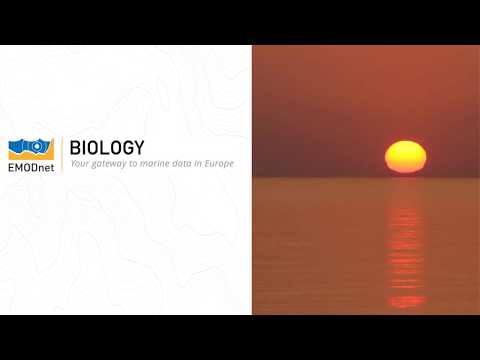 EMODnet Biology Portal: An overview