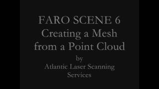 FARO SCENE 6 Creating A Mesh 2