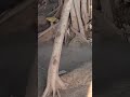 Day 1 Video 2026 03 08 at 10 18 58