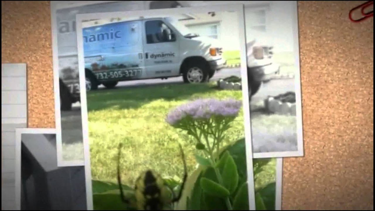 Dynamic Pest Control LLC (732) 505-3277