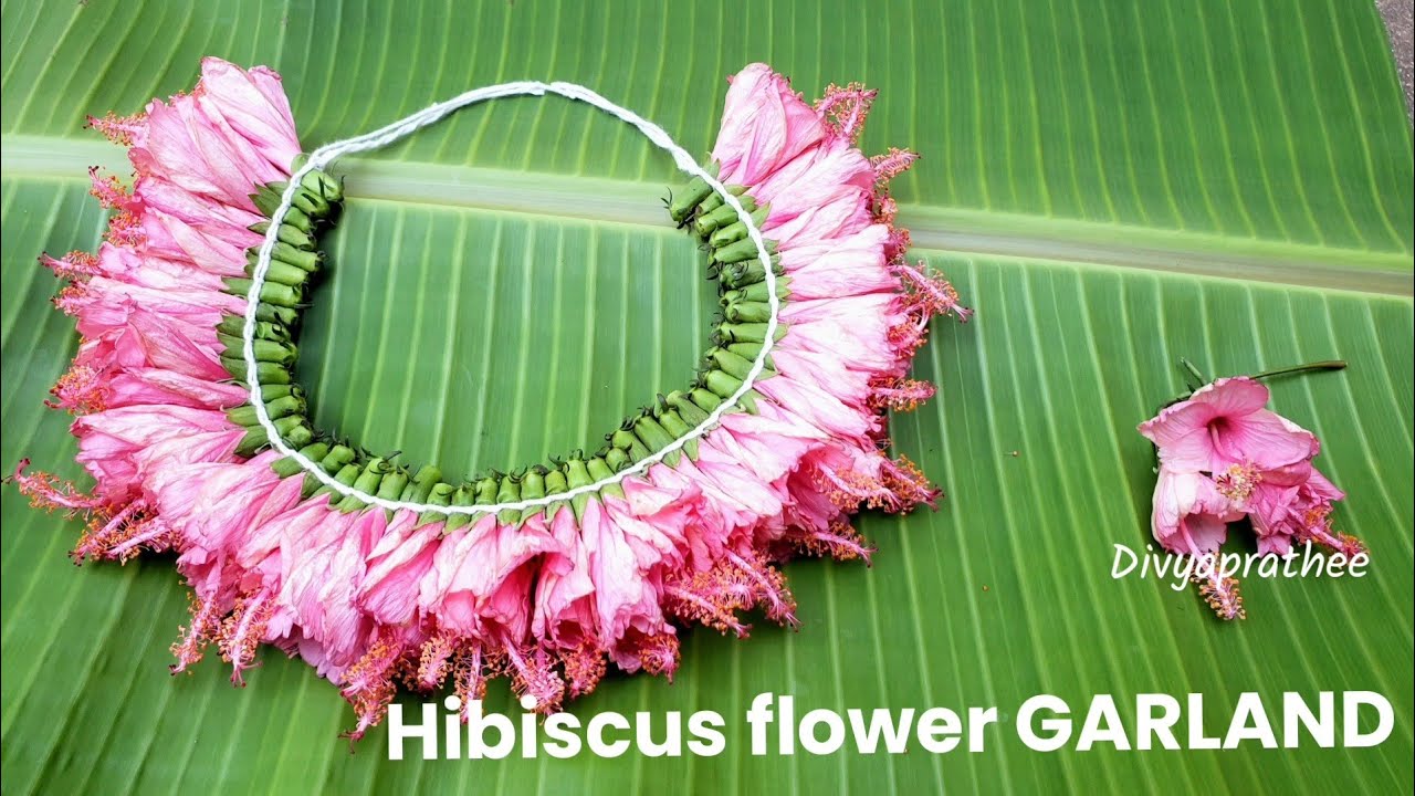 Festone Hawaiano In Cartone 3m Con Hibiscus - 2 Soggetti: Pappagallo O Fenicottero | Decorazione Perfetta Per Festa Hawaiana E Beach Party - 2