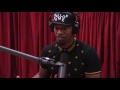 Joe Rogan & Jamie Foxx - Racism vs. Perception