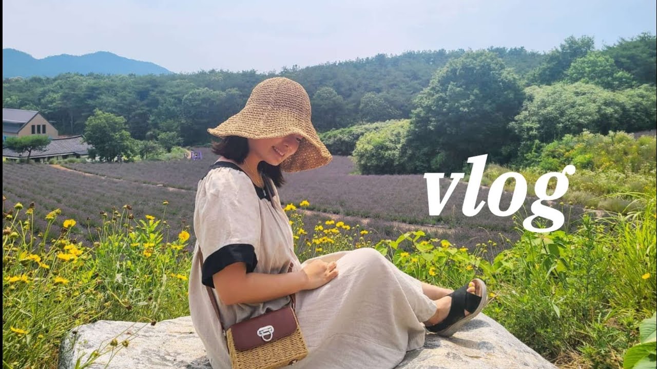 고창 라벤더 축제 고창 라벤더가든 보라빛향기 가득💜 | 일상브이로그