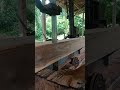 kayu yg cantik sekali ... #automobile