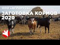 Заготовка кормов в 2020 году | Обзор фермы | Молочное животноводство | Растениеводство