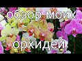 Стас Михайлов "Все для тебя "