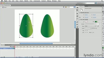 How to use Free Transform tool on Adobe Flash.