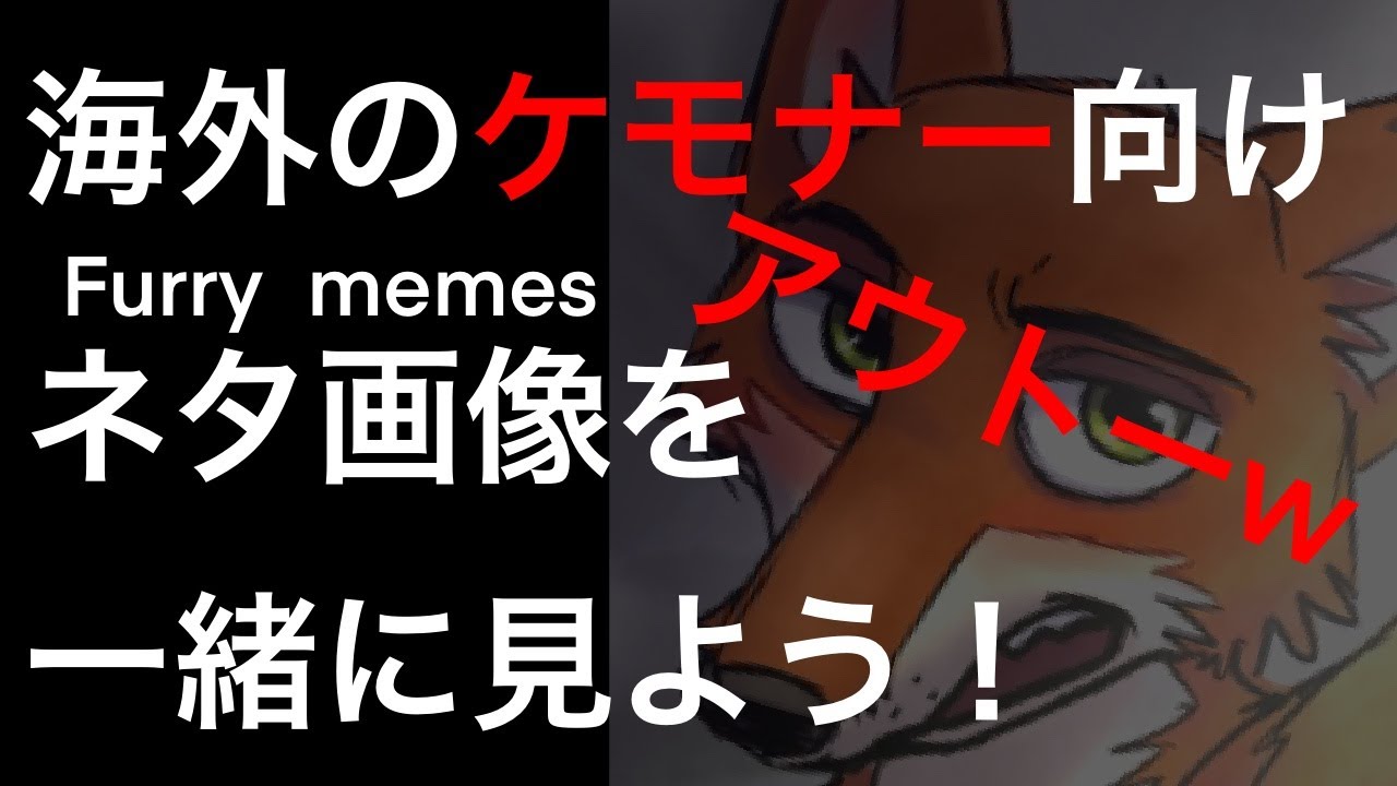 ケモノ ケモナー向けの海外のネタ画像がヤバすぎたpart1 Youtube
