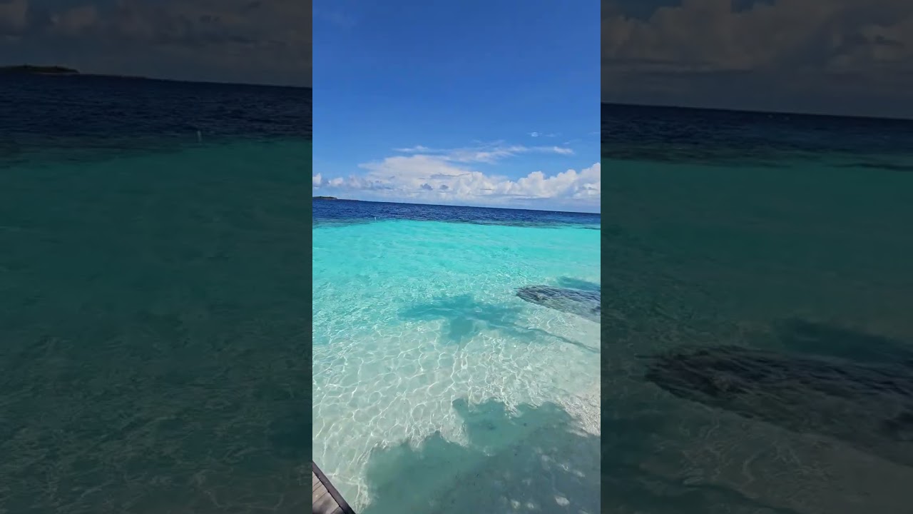 This is MALDIVES! Sea, Sand and Palm trees 🌴🌴🌴 