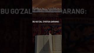 3Quran 933