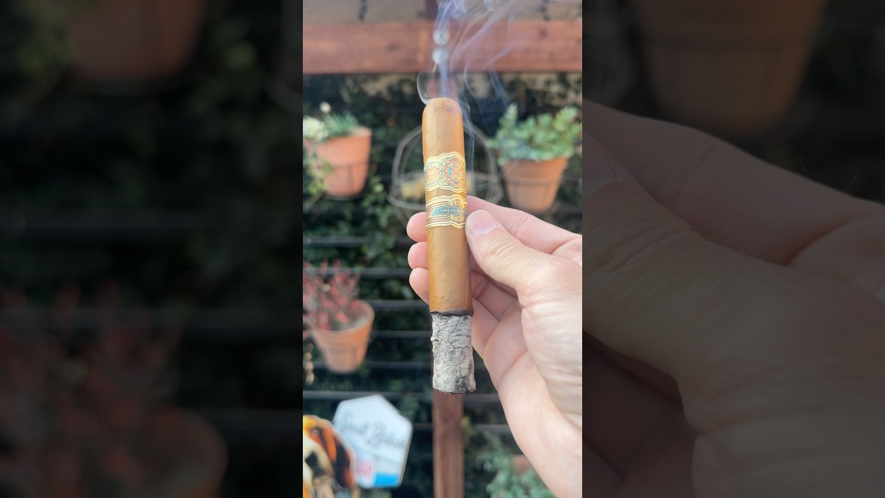 Some of the most amazing cigar construction I’ve ever seen 🤯